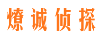 阳原寻人公司